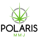 Polaris-Logo@2x.png